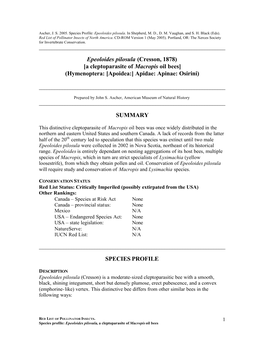 Profile for Epeoloides Pilosula