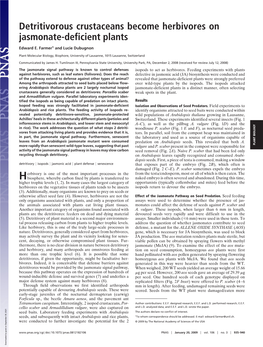 Detritivorous Crustaceans Become Herbivores on Jasmonate-Deficient Plants