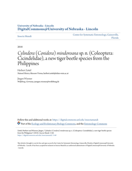 Cylindera (Conidera) Mindoroana Sp. N. (Coleoptera: Cicindelidae)