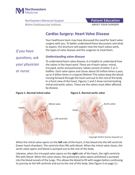 Cardiac Surgery: Heart Valve Disease Your Healthcare Team May Have Discussed the Need for Heart Valve Surgery with You