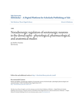 Noradrenergic Regulation of Serotonergic Neurons in the Dorsal Raphe : Physiological, Pharmacological, and Anatomical Studies Jay Matthew Ab Raban Yale University