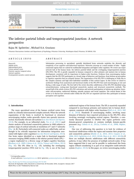 The Inferior Parietal Lobule and Temporoparietal Junction A