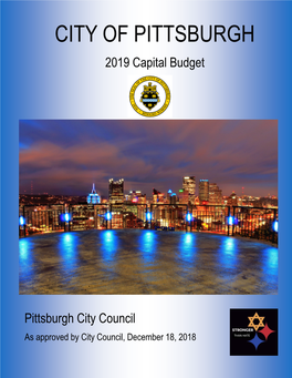 2019 Capital Budget