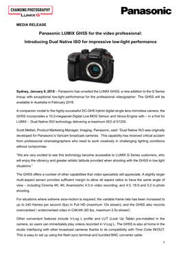 Panasonic LUMIX GH5S for the Video Professional: Introducing Dual