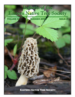 Bulletin of the Eastern Native Tree Society ISSN: 1933-799X