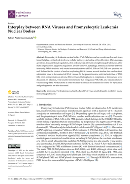 Interplay Between RNA Viruses and Promyelocytic Leukemia Nuclear Bodies