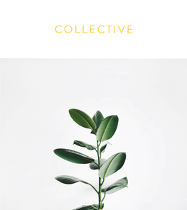 COLLECTIVE.Pdf