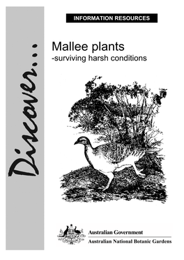 Mallee Plants -Surviving Harsh Conditions