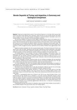 Borate Deposits of Turkey and Argentina; a Summary and Geological Comparison