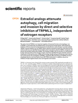 Estradiol Analogs Attenuate Autophagy, Cell Migration And