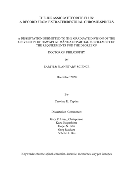 The Jurassic Meteorite Flux: a Record from Extraterrestrial Chrome-Spinels