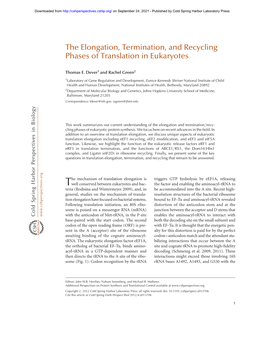 The Elongation, Termination, and Recycling Phases of Translation in Eukaryotes