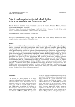 Natural Synchronisation for the Study of Cell Division in the Green Unicellular Alga Ostreococcus Tauri