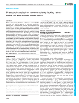 Phenotypic Analysis of Mice Completely Lacking Netrin 1 Andrea R