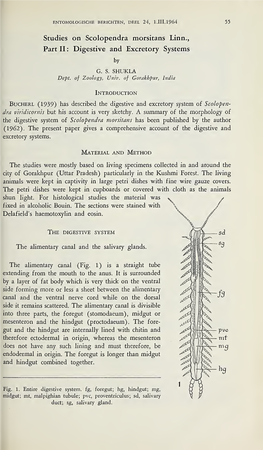 Digestive and Excretory Systems