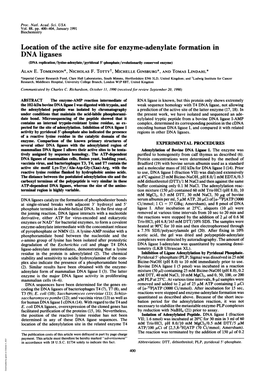 DNA Ligases (DNA Replication/Lysine-Adenylate/Pyridoxal 5'-Phosphate/Evolutionarily Conserved Enzyme) ALAN E