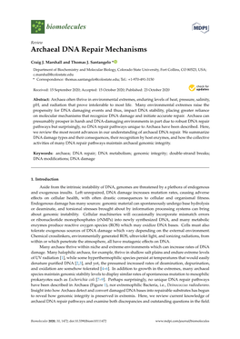 Archaeal DNA Repair Mechanisms