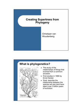 Creating Supertrees from Phylogeny What Is Phylogenetics?