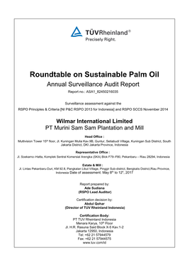 RSPO Public Summary Report Template