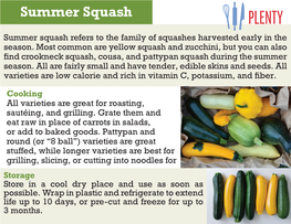 Summer Squash