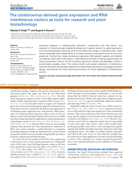 The Closterovirus-Derived Gene Expression and RNA Interference Vectors As Tools for Research and Plant Biotechnology