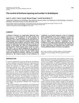 The Control of Trichome Spacing and Number in Arabidopsis