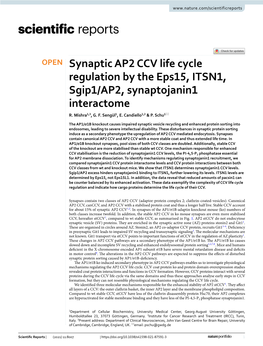 Synaptic AP2 CCV Life Cycle Regulation by the Eps15, ITSN1, Sgip1/AP2, Synaptojanin1 Interactome R