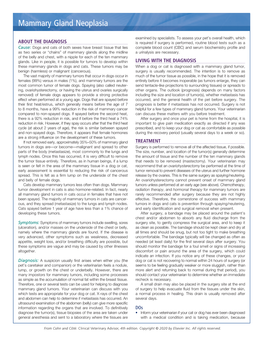 Mammary Gland Neoplasia