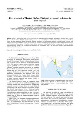 Recent Record of Masked Finfoot (Heliopais Personata) in Indonesia After 17 Years