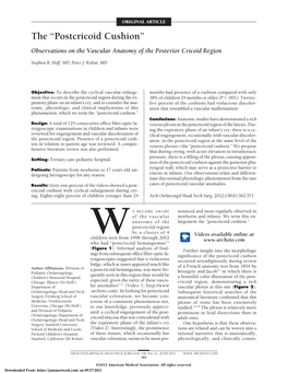 Postcricoid Cushion” Observations on the Vascular Anatomy of the Posterior Cricoid Region