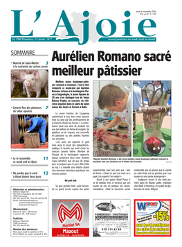 AJOIE 06.11.2014 Web