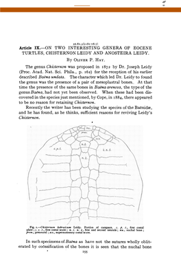 The Genus Was the Presence of a Pair of Mesoplastral Bones.. at That And