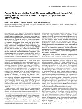 Dorsal Spinocerebellar Tract Neurons in the Chronic Intact Cat During Wakefulness and Sleep: Analysis of Spontaneous Spike Activity