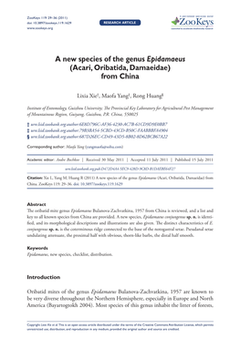 A New Species of the Genus Epidamaeus (Acari, Oribatida, Damaeidae) from China