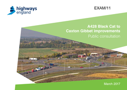 EXAM 11 A428 Consultation Brochure