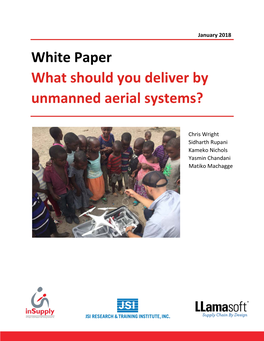 White Paper What Should You Deliver by Unmanned Aerial Systems?