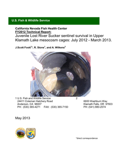 Juvenile Lost River Sucker Sentinel Survival in Upper Klamath Lake Mesocosm Cages: July 2012 - March 2013