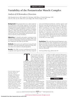 Variability of the Postauricular Muscle Complex Analysis of 40 Hemicadaver Dissections