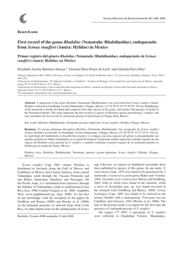 First Record of the Genus Rhabdias (Nematoda: Rhabdiasidae), Endoparasite from Scinax Staufferi (Anura: Hylidae) in Mexico