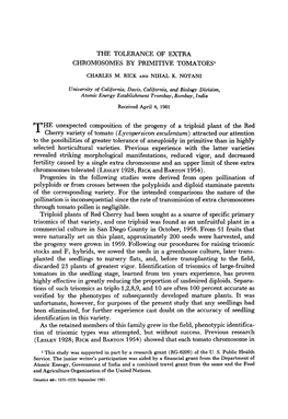 The Tolerance of Extra Chromosomes by Primitive Tomatoes