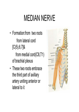 UL-Median Nerve.Pdf