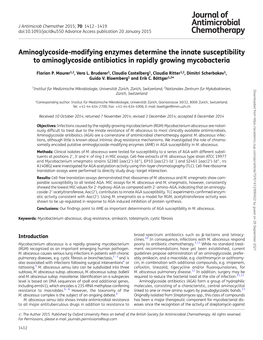 Aminoglycoside-Modifying Enzymes Determine the Innate Susceptibility to Aminoglycoside Antibiotics in Rapidly Growing Mycobacteria