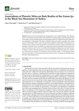 Associations of Phoretic Mites on Bark Beetles of the Genus Ips in the Black Sea Mountains of Turkey