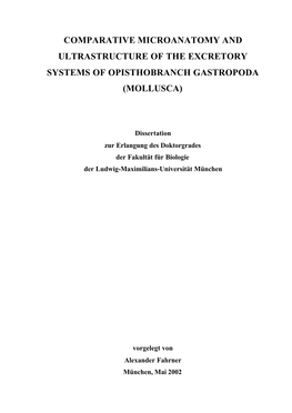 Comparative Microanatomy and Ultrastructure of the Excretory Systems of Opisthobranch Gastropoda (Mollusca)