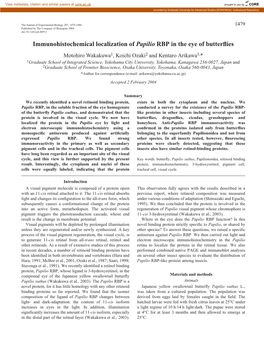 Immunohistochemical Localization of Papilio RBP in the Eye of Butterflies