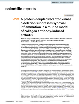 G Protein-Coupled Receptor Kinase 5 Deletion Suppresses Synovial Inflammation in a Murine Model of Collagen Antibody-Induced