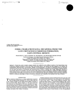 From the Late Cretaceous Cardenas Formation, East-Central Mexico Francisco J