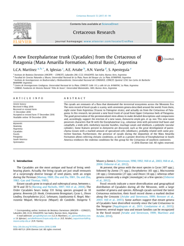 (Cycadales) from the Cretaceous of Patagonia (Mata Amarilla Formation, Austral Basin), Argentina