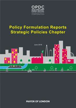 Policy Formulation Reports Strategic Policies Chapter