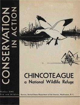 CHINCOTEAGUE a National Wildlife Refuge